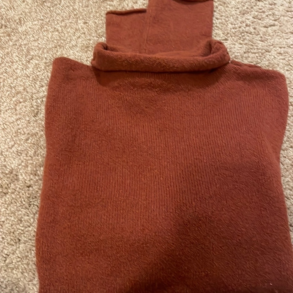 Wilfred mock turtleneck